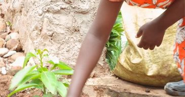 WhatsApp Image 2026-01-15 at 12.29.14